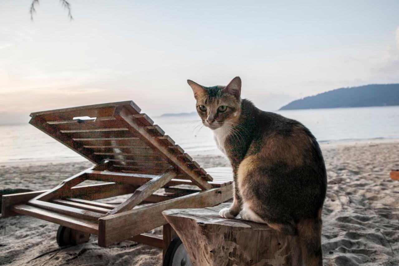 Swiss Cottage Tioman Kampong Ayer Batang Exterior foto